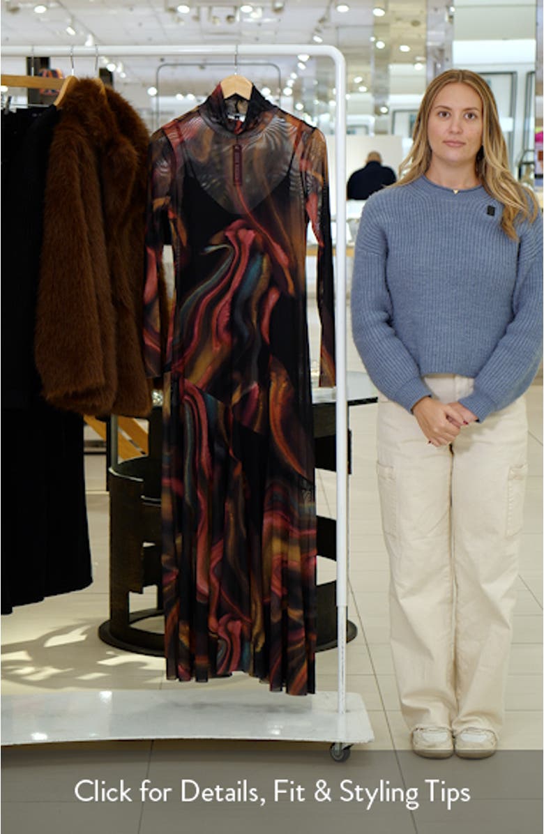 Vivara Printed Long Sleeve Mesh Maxi Dress, sales video thumbnail