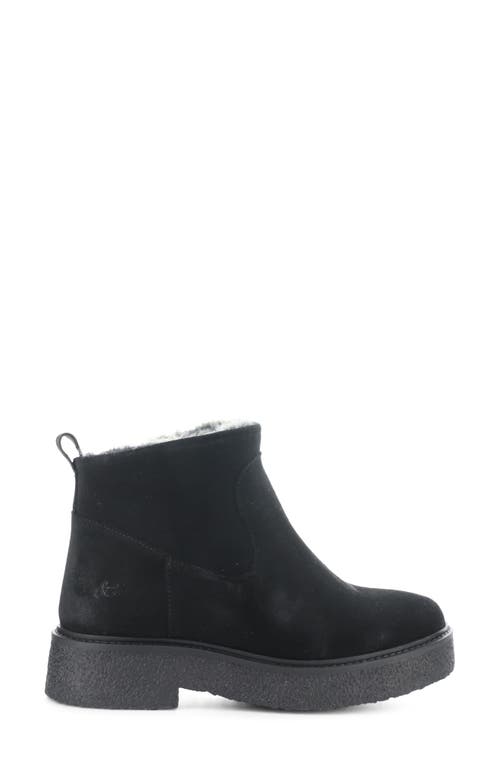 Bos. & Co. Scout Waterproof Winter Bootie In Black