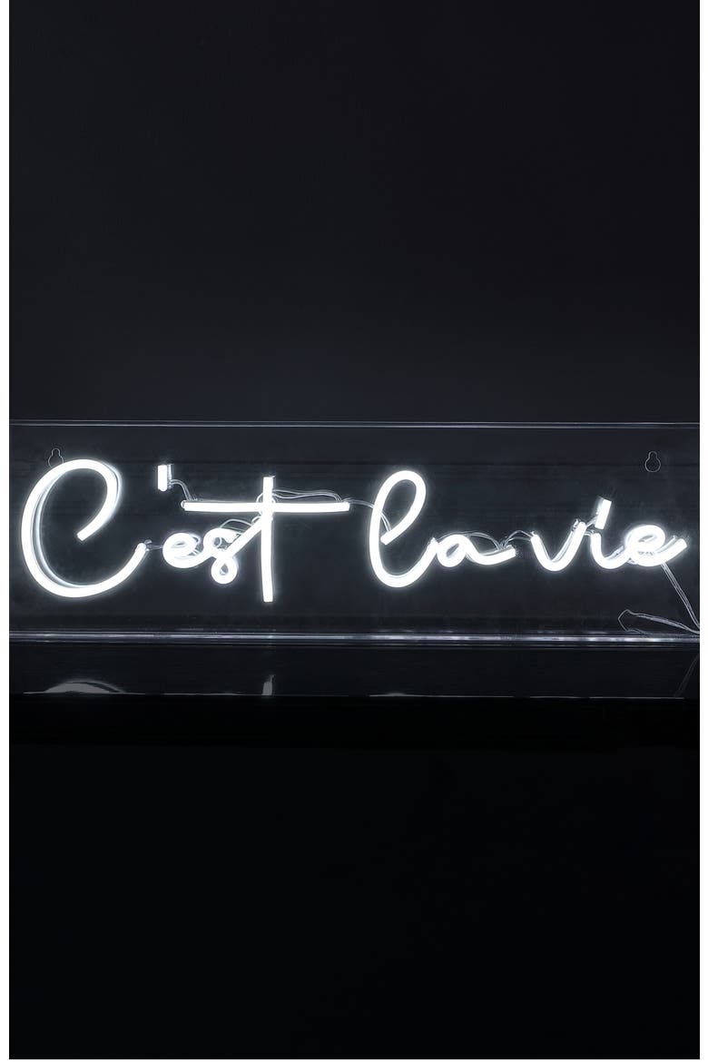 C'est La Vie 20" X 6" Contemporary Glam Acrylic Box USB Operated LED Neon Light, White, Alternate, color, White