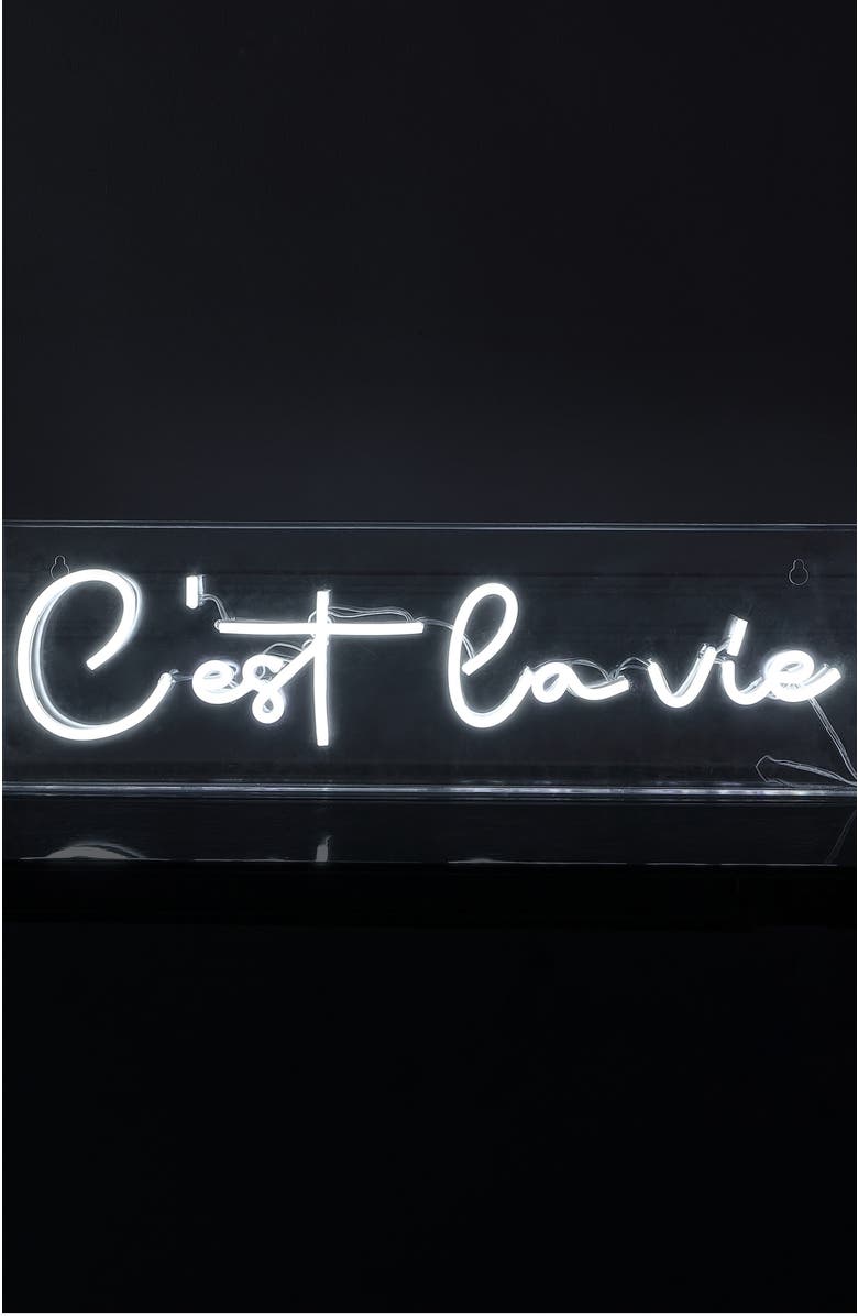 JONATHAN Y C'est La Vie 20" X 6" Contemporary Glam Acrylic Box USB Operated LED Neon Light, White, Alternate, color, White