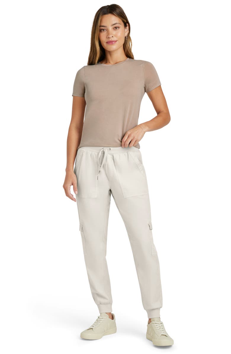 Splendid Genevieve T-Shirt, Alternate, color, Fawn