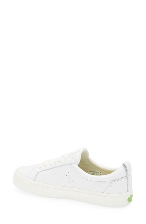 Cariuma Oca Low In White Premium Leather