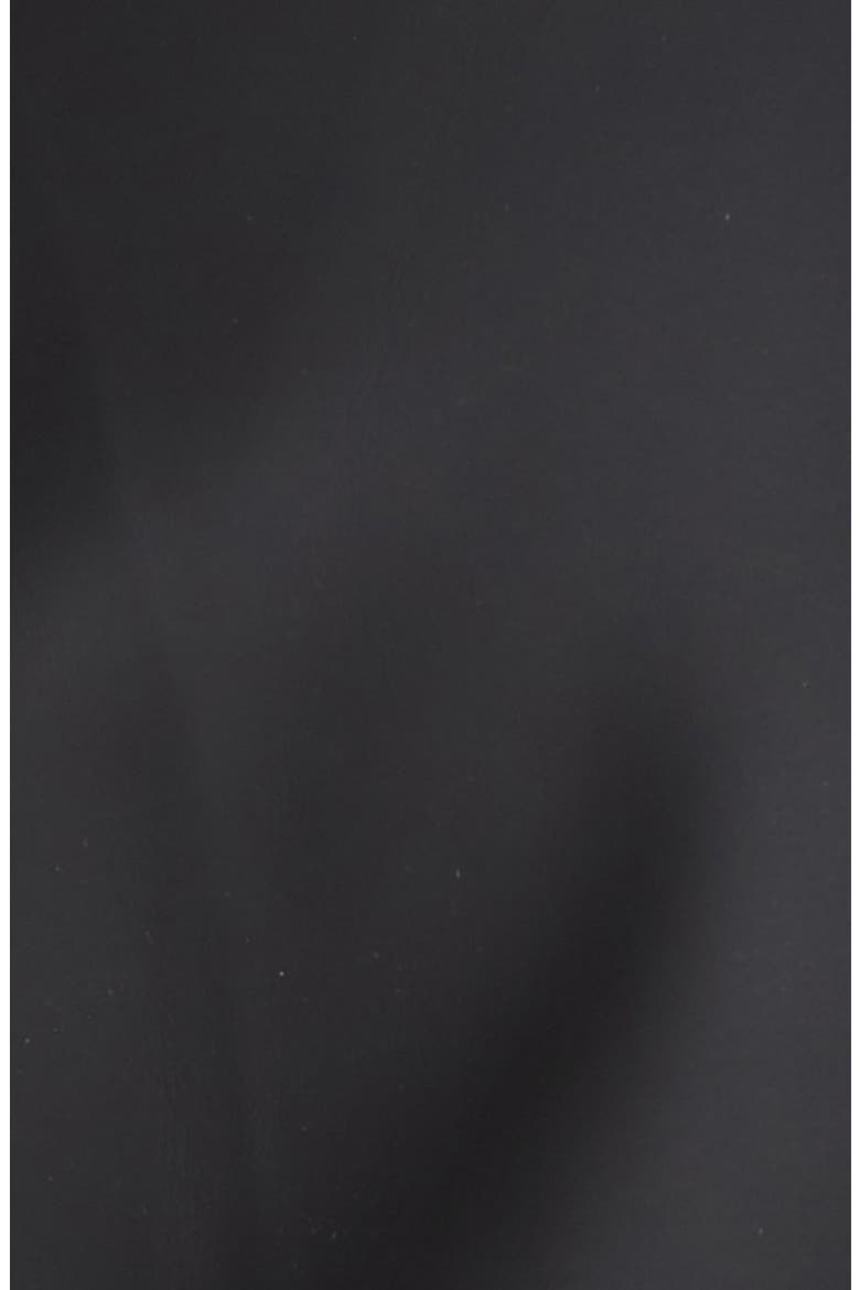 Levi's® Rubberized Fishtail Parka, Alternate, color, BLACK