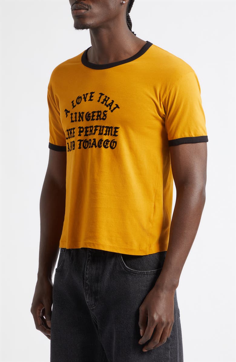 Second Layer A Love That Lingers Cotton Ringer T-Shirt, Alternate, color, Mustard/ Black