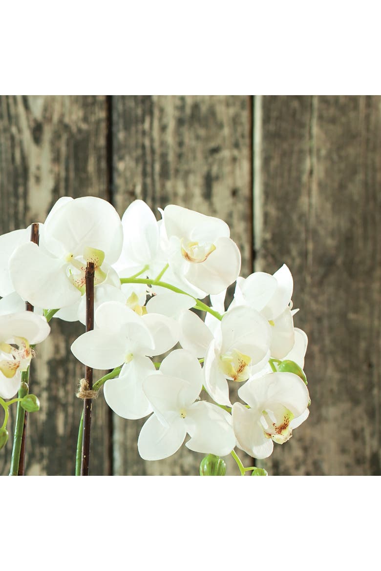 23" Phalaenopsis Orchid Drop-In Flower Floral Plant Root Ball Tabletop Decor, Alternate, color, White
