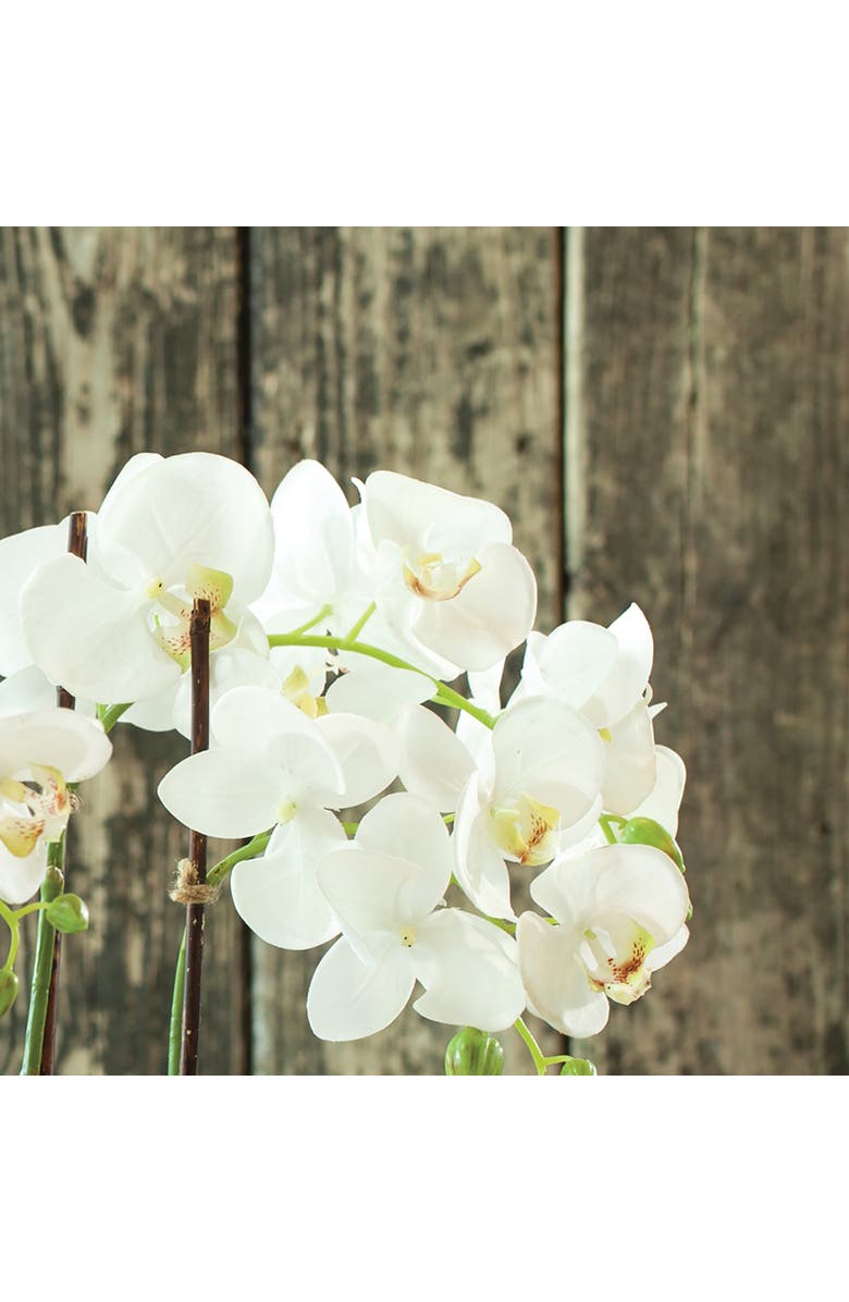 Napa Home & Garden 23" Phalaenopsis Orchid Drop-In Flower Floral Plant Root Ball Tabletop Decor, Alternate, color, White