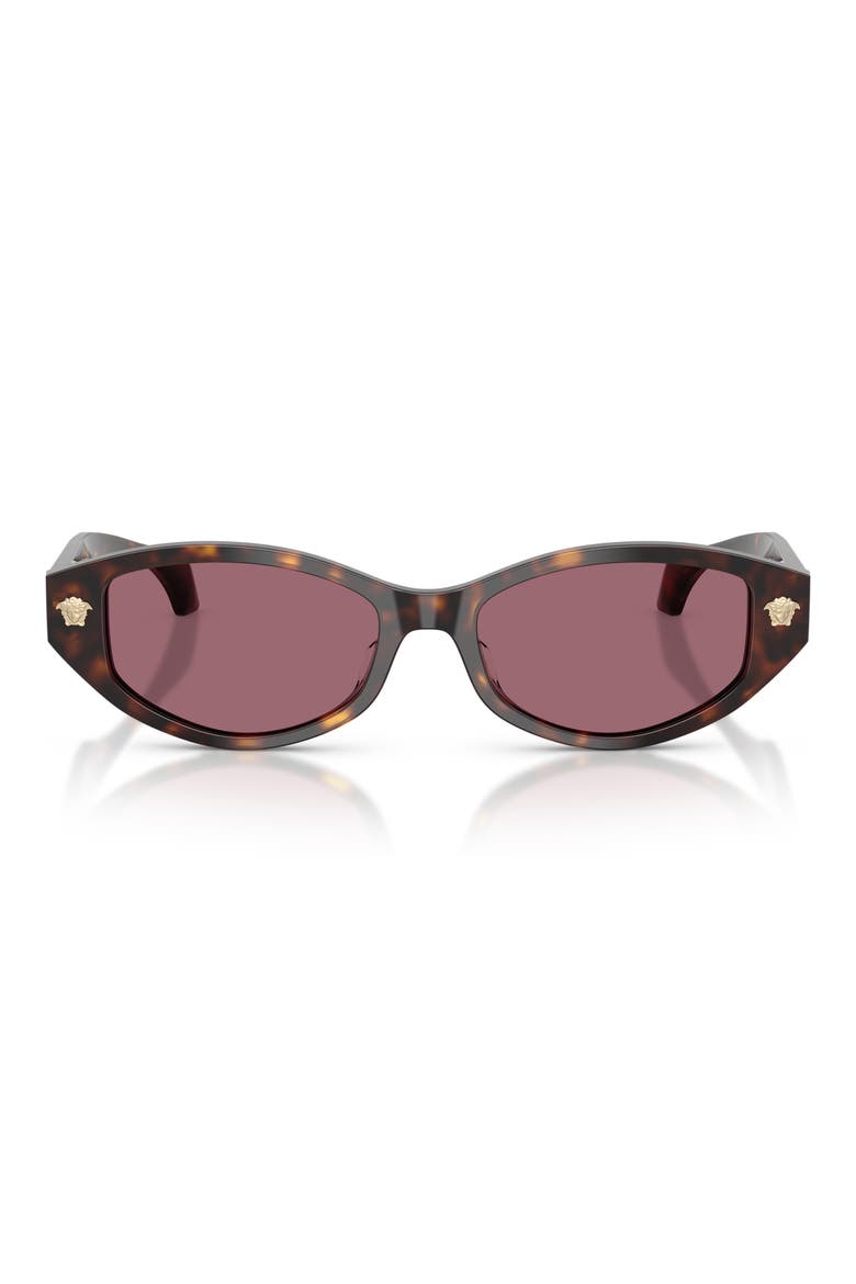 54mm Cat Eye Sunglasses, Main, color, HAVANA / VIOLET