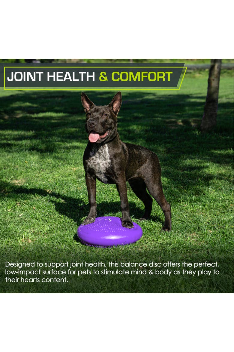 Core Balance Disc, Alternate, color, Purple