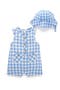 selected Ocean Gingham