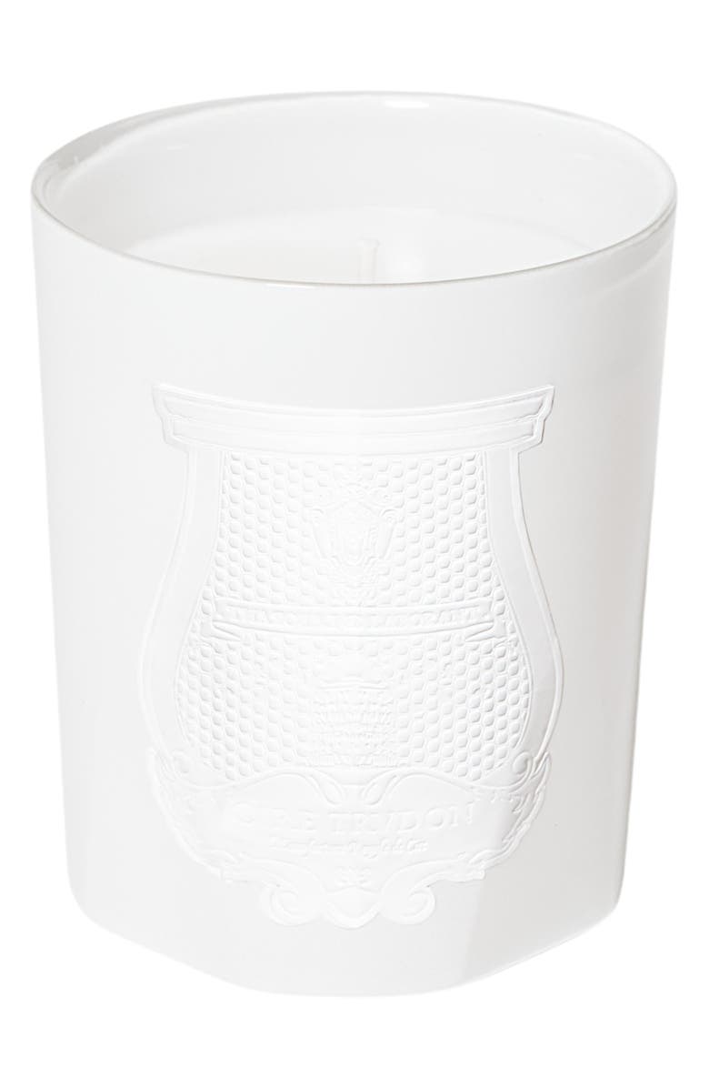 Trudon x Giambattista Valli Positano Classic Candle, Main, color, 