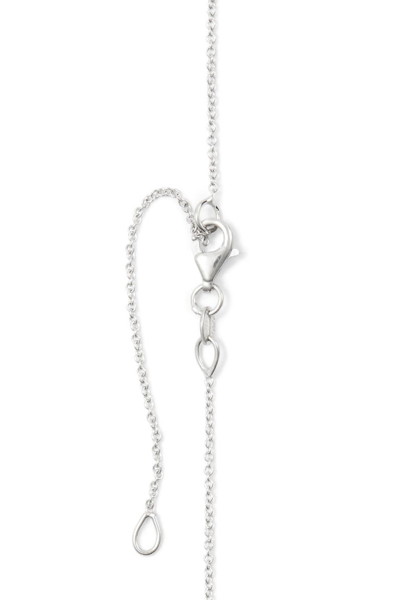 Circle of Life Small Diamond Pendant Necklace (Nordstrom Exclusive), Alternate, color, WHITE GOLD