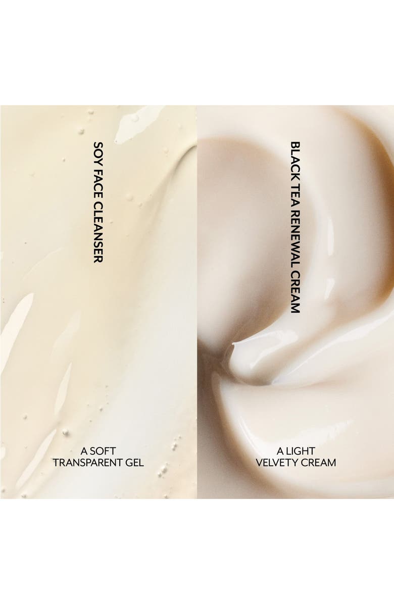 Fresh<sup>®</sup> Firm Foundations Set $73 Value, Alternate, color, 