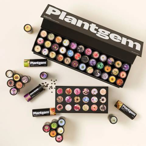 Flower Garden in a Box by Plantgem