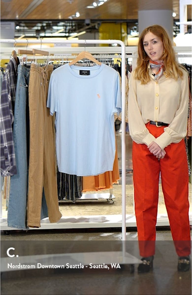 T-Rex Embroidered Cotton T-Shirt, sales video thumbnail