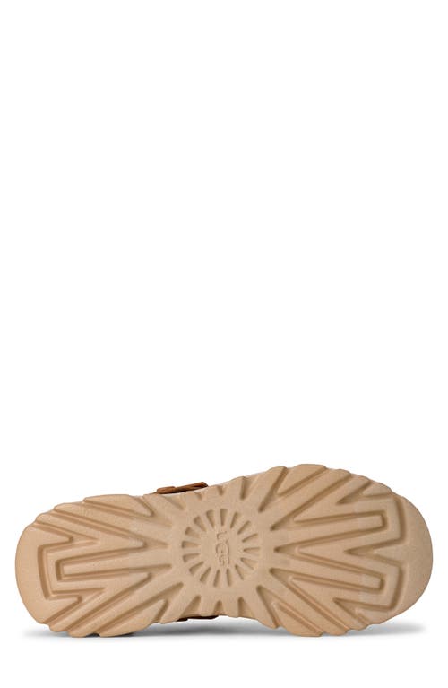 Ugg(r) Peakmod Lowcut Slip-on Shoe In Brown