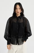 Brunello Cucinelli Striped organza shirt