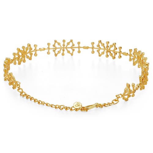 Dhwani Bhansal Auro Choker In Gold Plated