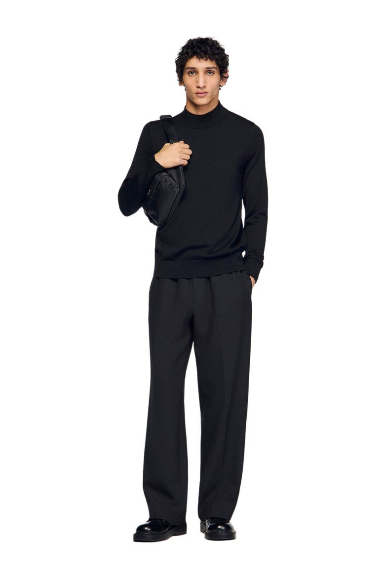 Wool sweater with high neck, Alternate, color, Black