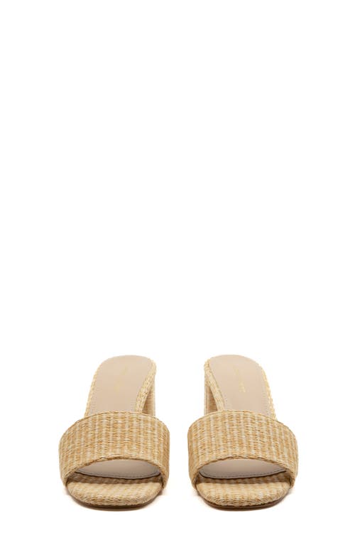 Andrea Gomez Claudia Raffia Mules In Natural Raffia