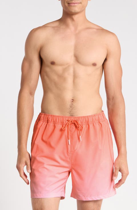 Performance Lined Volley Swim Shorts