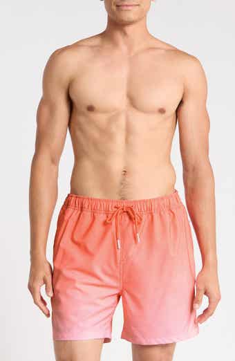 Performance Lined Volley Swim Shorts