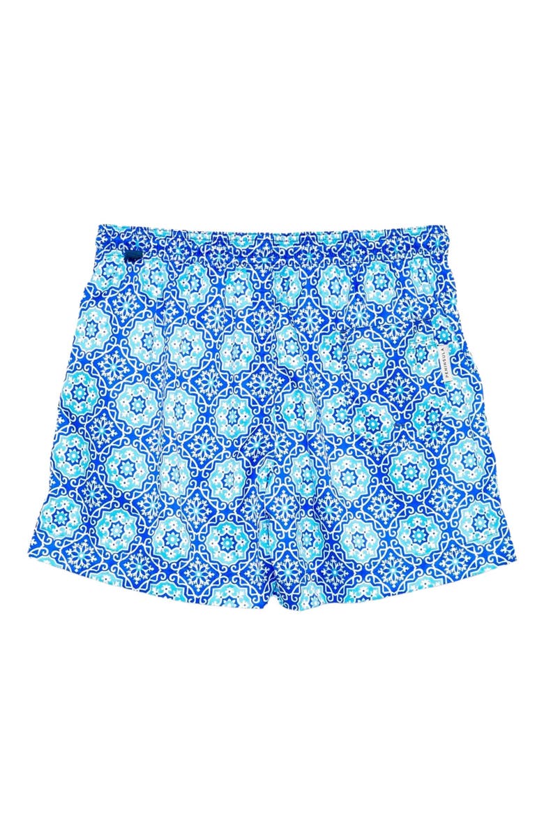 Peninsula Swimwear Filicudi Swim Shorts, Alternate, color, Multicolor