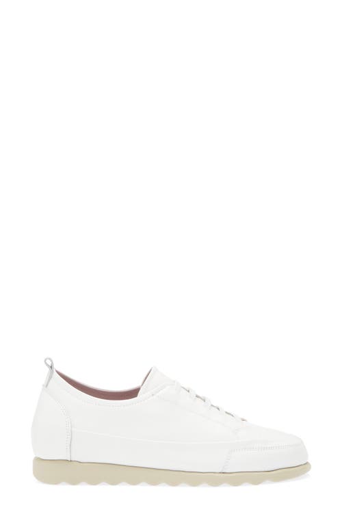 The Flexx Lena Slip-on Sneaker