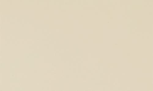 RAINS RAINS TRAIL WATERPROOF BACKPACK MINI