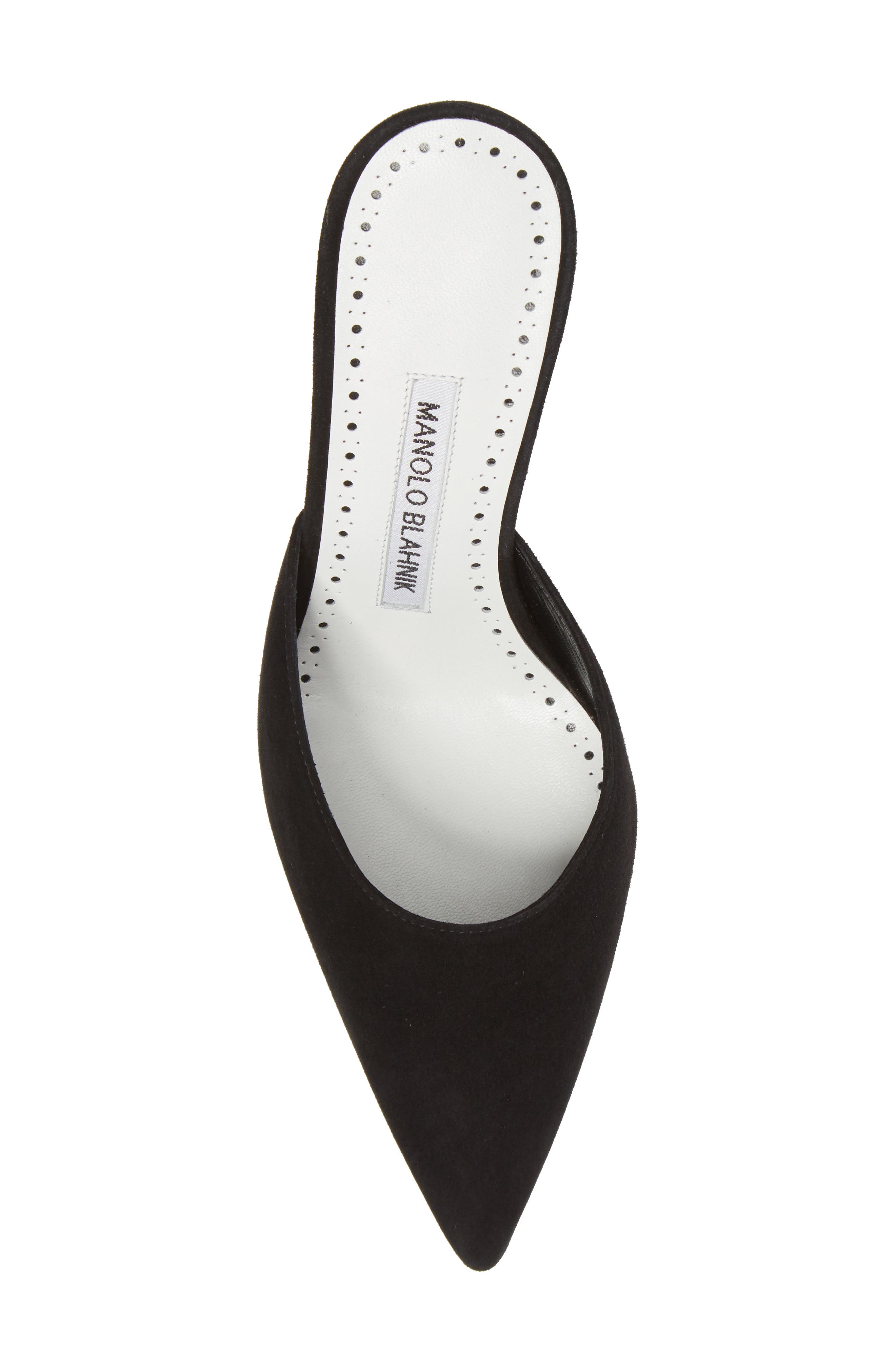 Manolo Blahnik Arriga Pump, Alternate, color, 