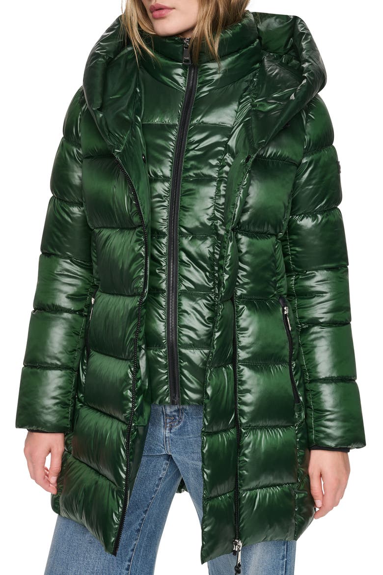 Water Resistant Hooded Puffer Coat with Bib, Alternate, color, HUNTER