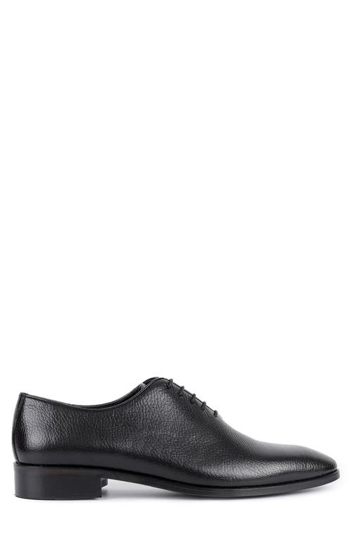 Vellapais Newark Oxford In Black
