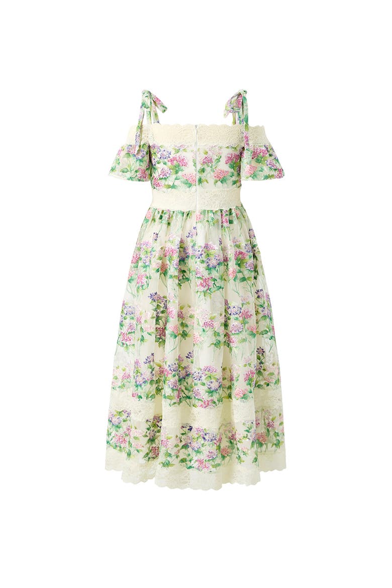 Clementine Embroidered Maxi Dress, Alternate, color, Floral
