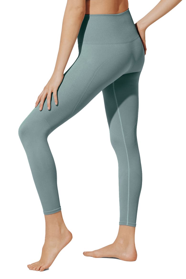 Flex Seamless Compression Leggings, Alternate, color, STORM
