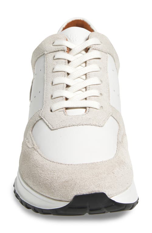 Allen Edmonds Everett Sneaker