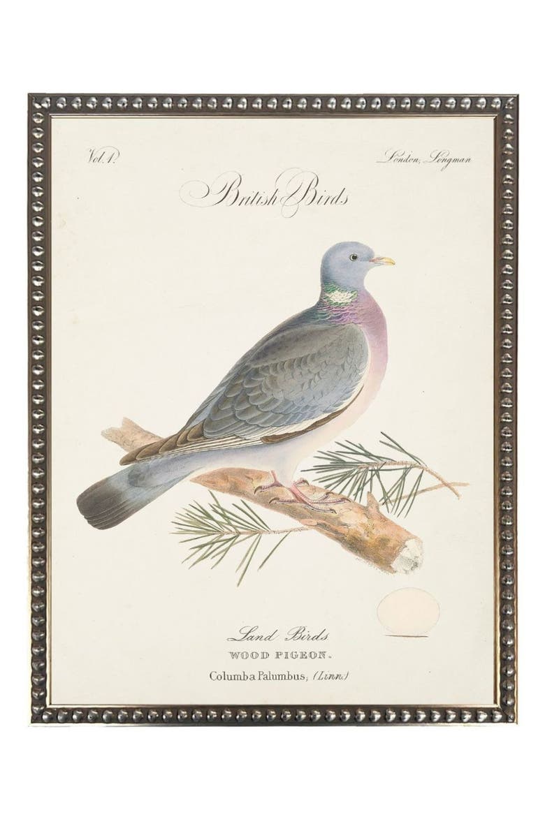 Wood Pigeon in Silver-Beaded Frame, Main, color, Multi