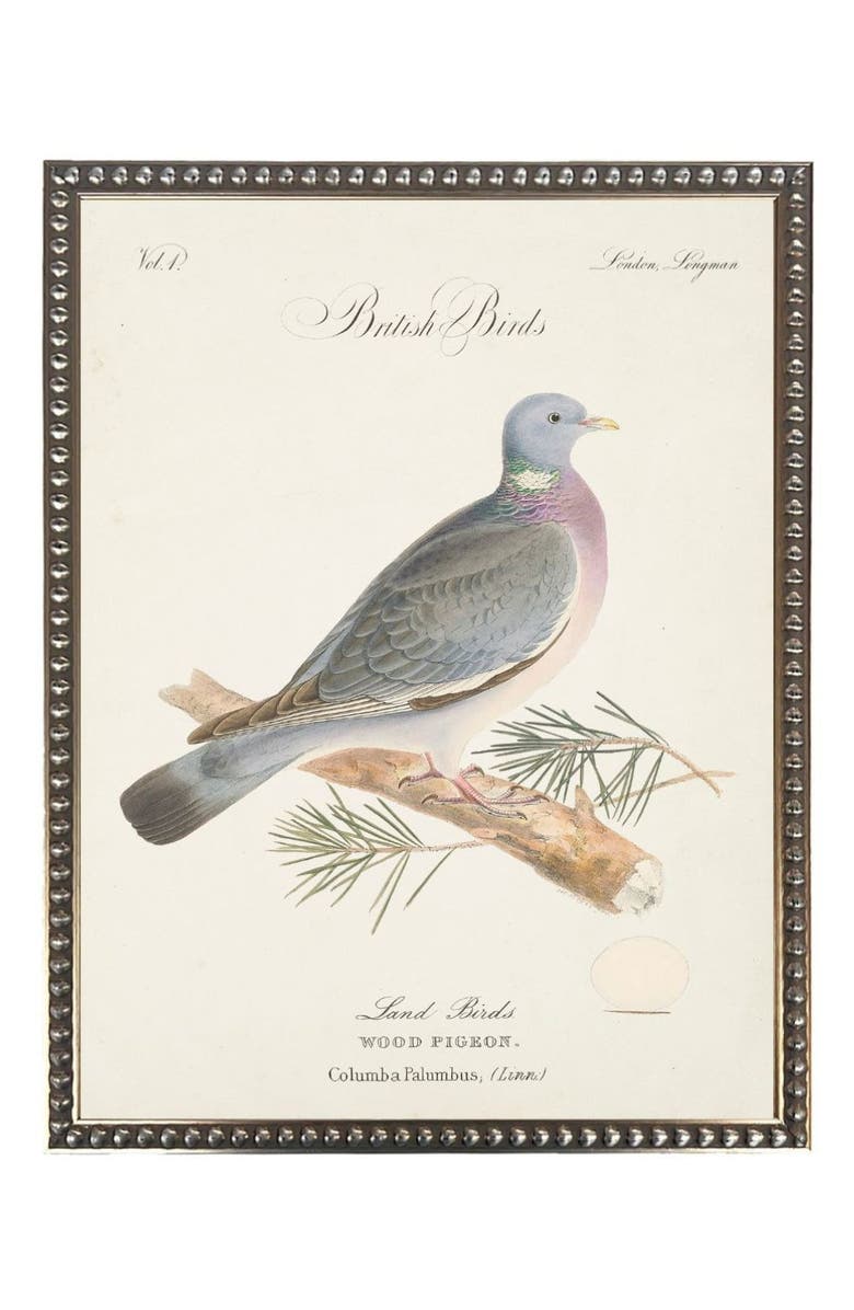 Antique Curiosities Wood Pigeon in Silver-Beaded Frame, Main, color, Multi