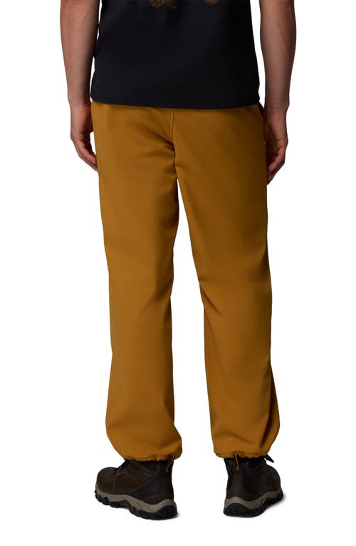 Columbia High Cascades Water Repellent Pants In Brown