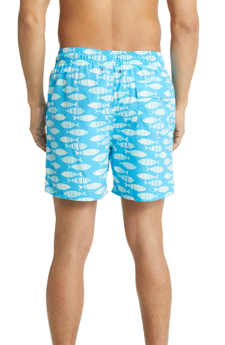 Tom & Teddy Fish Print Swim Trunks, Alternate, color,