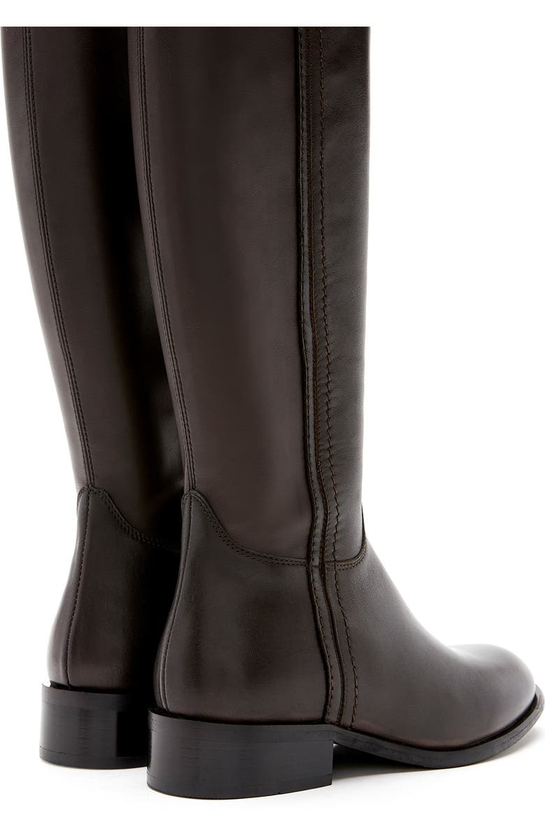 La Canadienne Amir Waterproof Tall Boot, Alternate, color, Brown