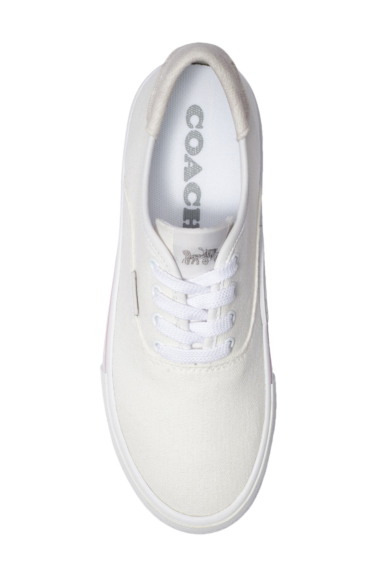 CitySole Skate Sneaker, Alternate, color, OPTIC WHITE