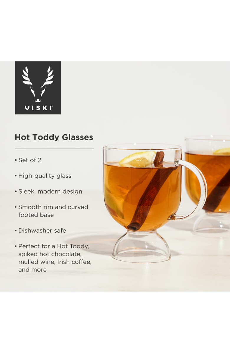 Viski Raye Hot Toddy Glasses Set of 2, Alternate, color, Clear