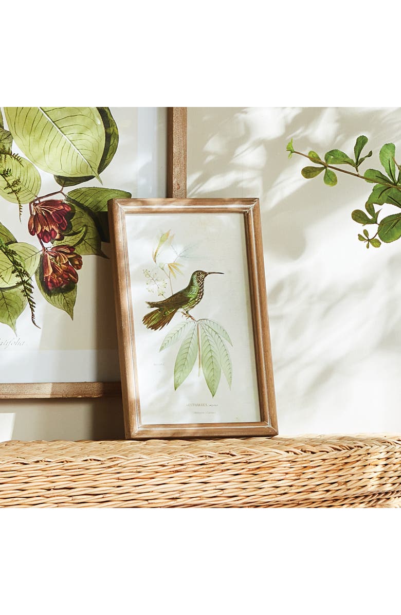 Napa Home & Garden Hummingbirds In Blooms Study, Set Of 8 - Multicolor Prints, Alternate, color, 