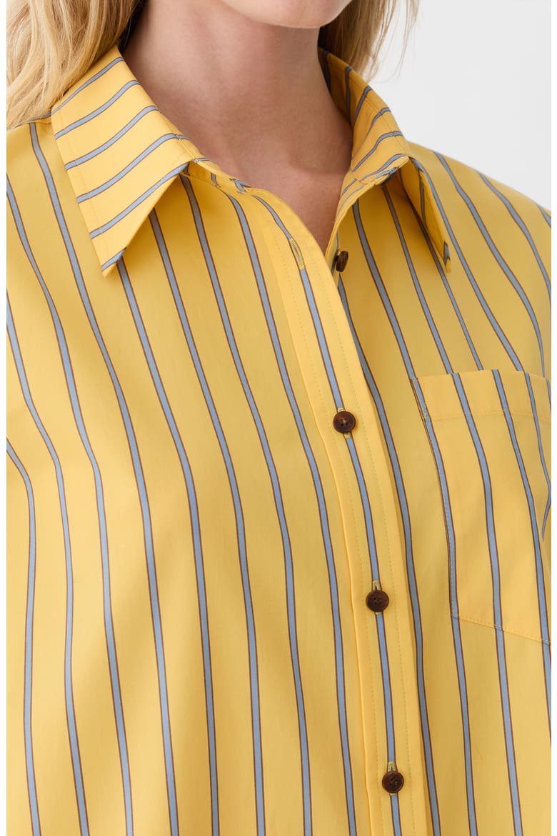 Boyfriend Oversize Stripe Cotton Button-Up Shirt, Alternate, color, DAISY MULTI