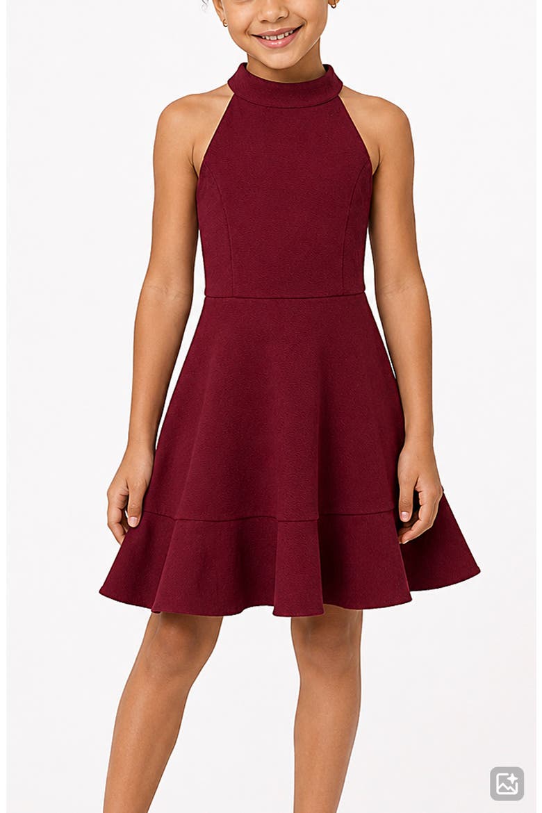 Kids' Textured Knit Skater Dress, Alternate, color, CRANBERRY