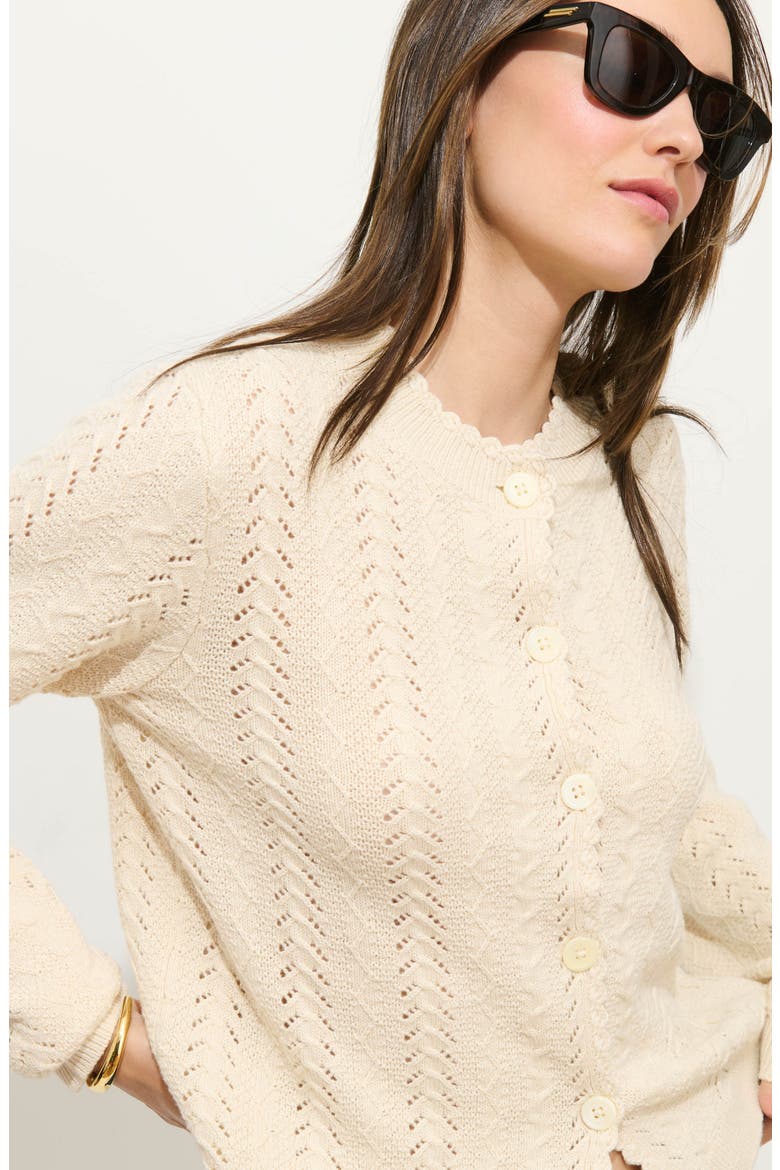 Annalise Pointelle Cardigan, Alternate, color, CHAMPAGNE