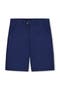 selected Navy Blue Striped