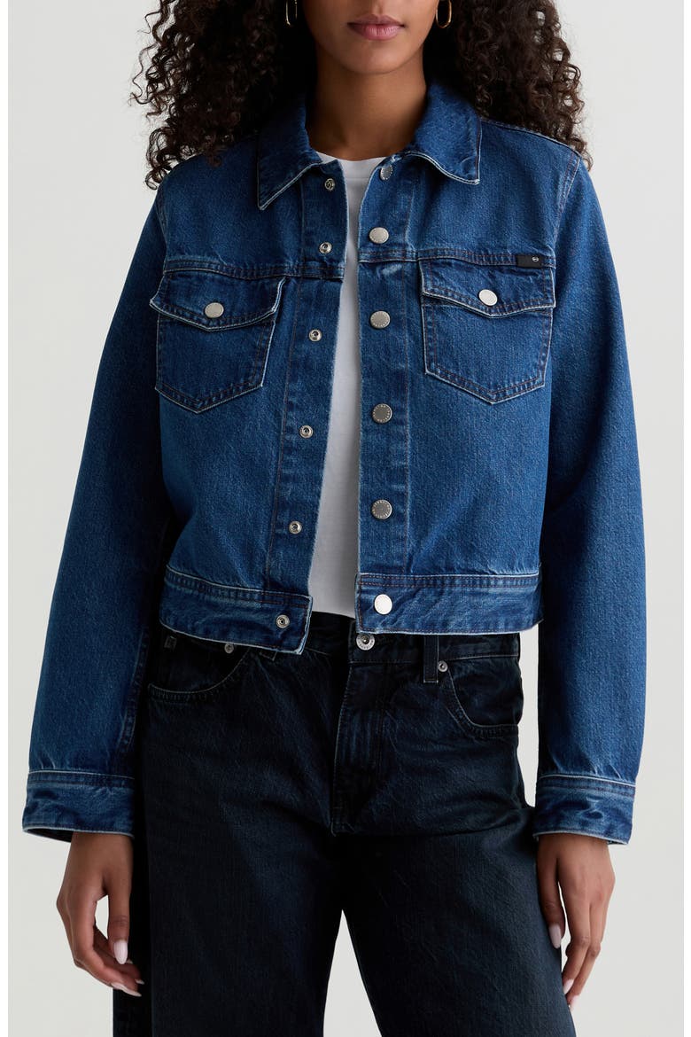 Molly Denim Trucker Jacket, Main, color, DENALI