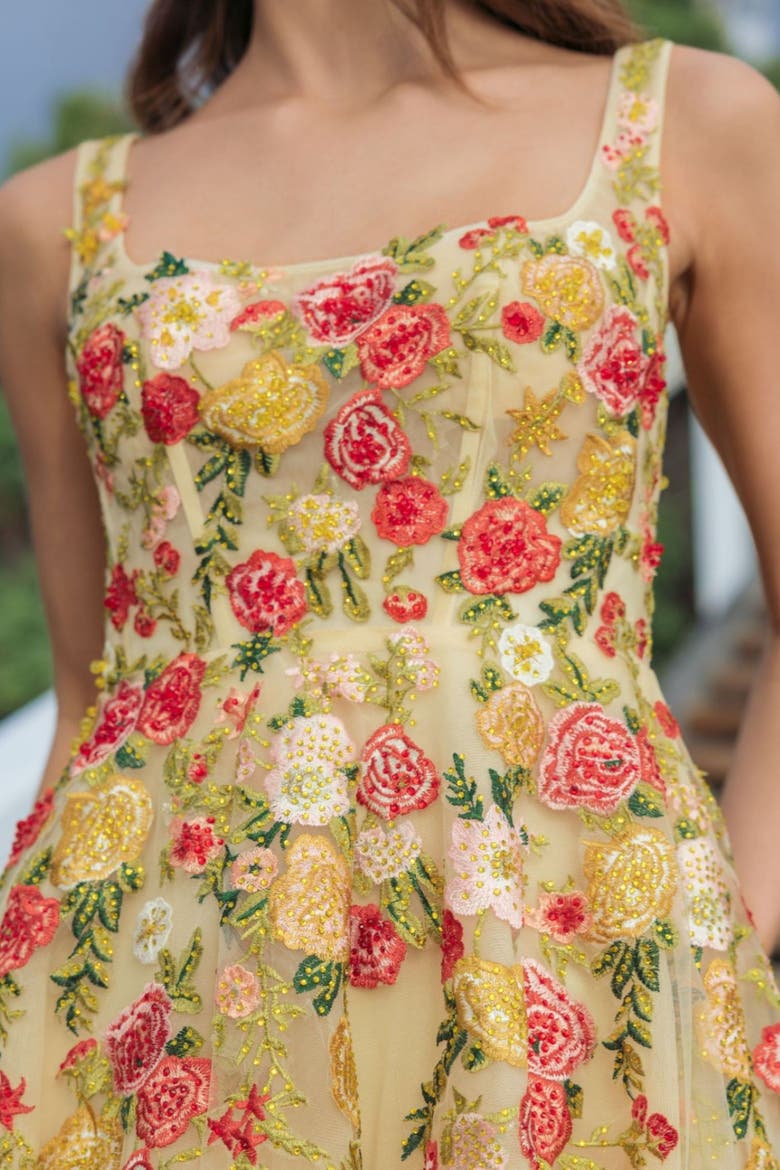 Embroidered Tulle A-Line Midi Dress, Alternate, color, Butter Multi