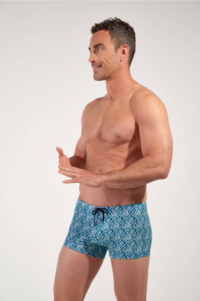 Camaiore Swim Shorts, Alternate, color, Blue Print