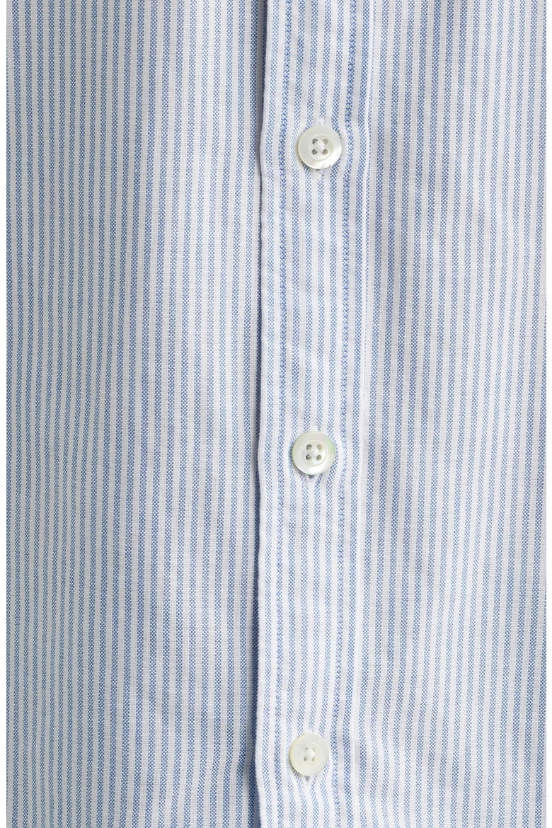 Stripe Cotton Button-Down Oxford Shirt, Alternate, color, BLUE